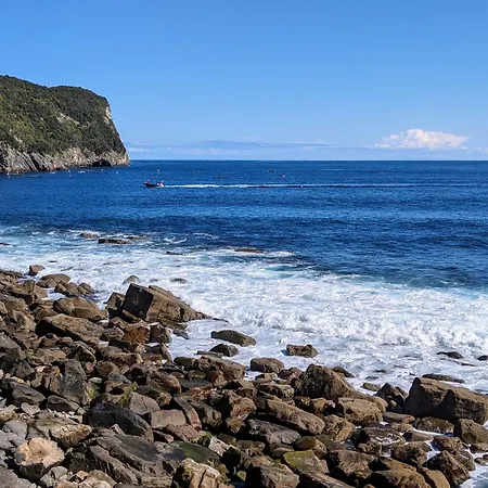 아파트 Plaza Vt 엘란초베